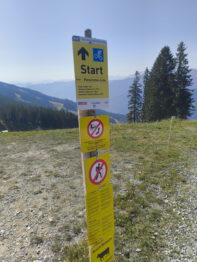 IMG 20260731